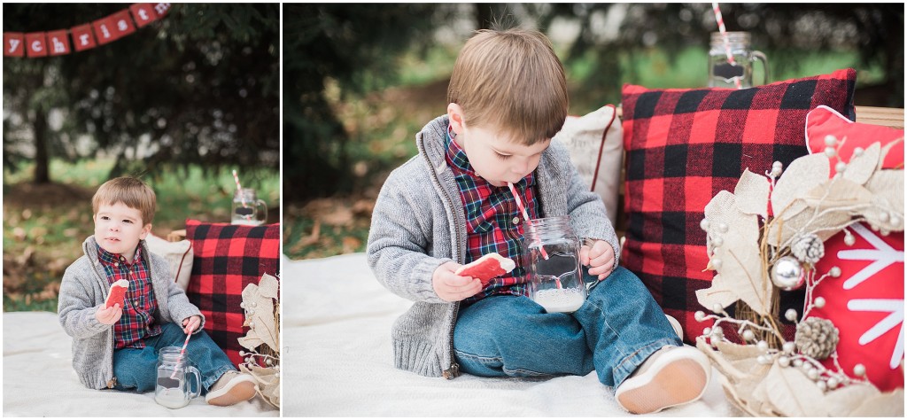 2015 Christmas Mini Photos_0949