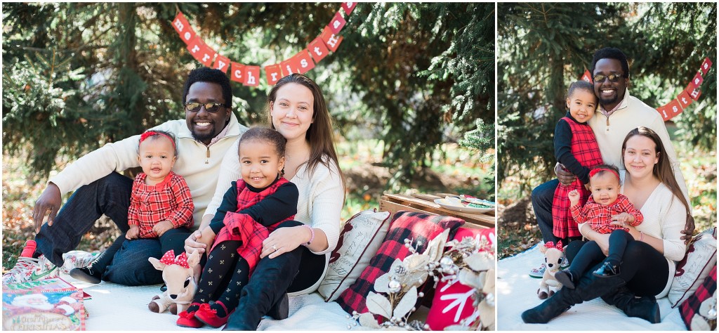 2015 Christmas Mini Photos_0953