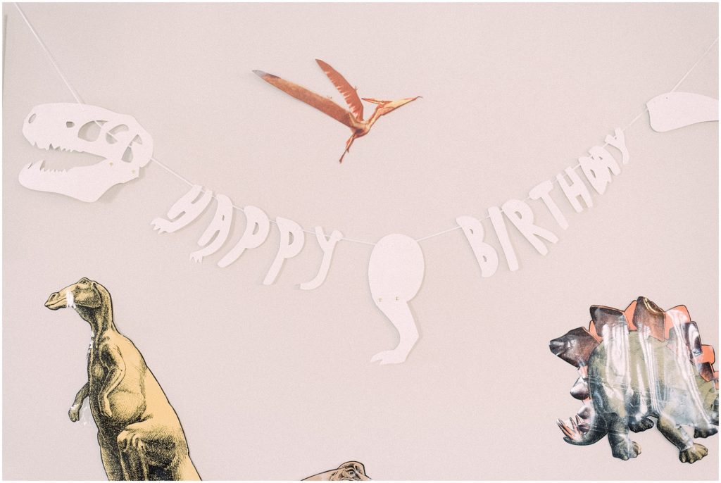Dinosaur Birthday Party 