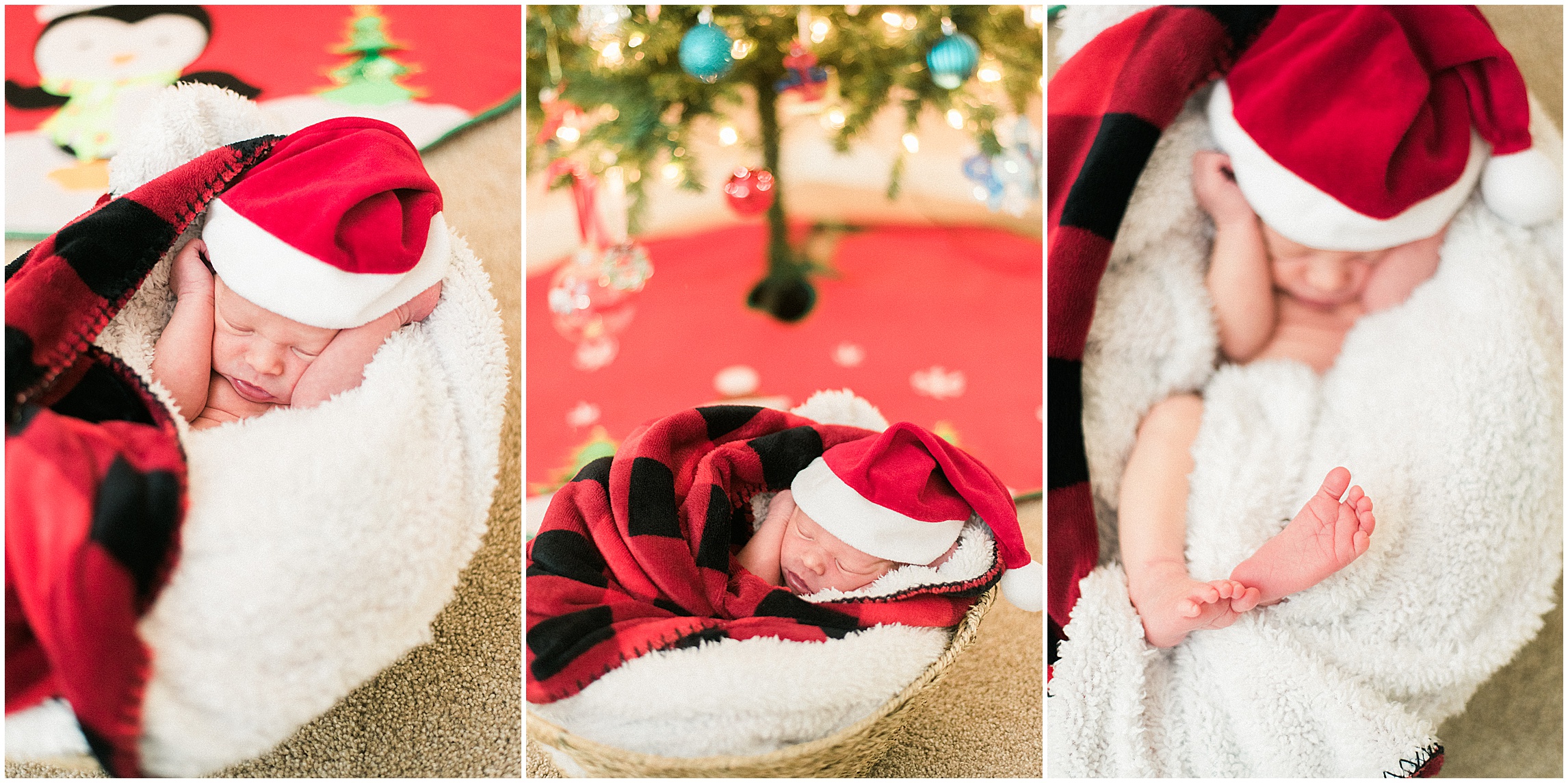 Woodbine Christmas Newborn Portraits