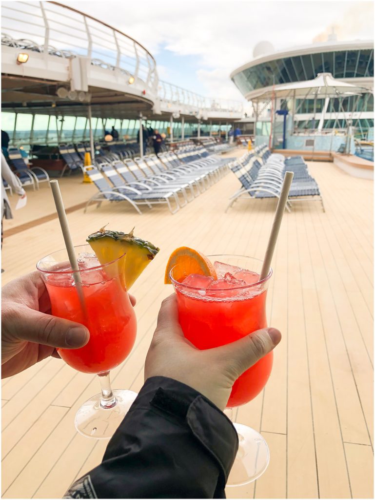 Our Royal Caribbean Cruise Adventures 2019