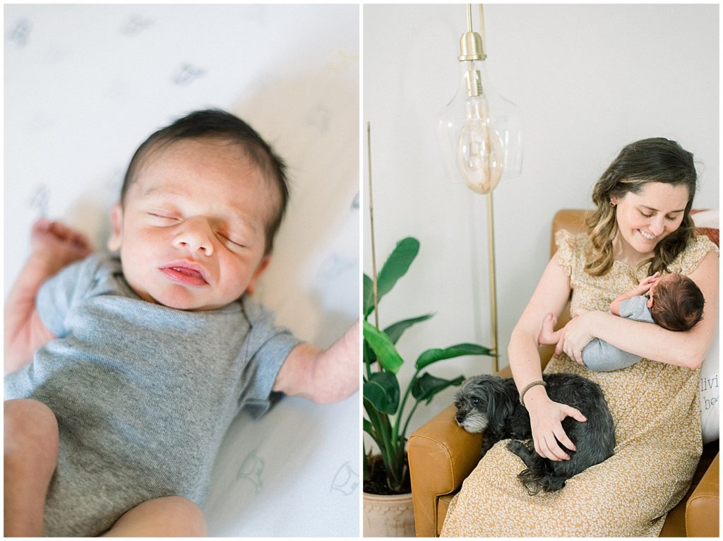 Hampden Newborn Portraits