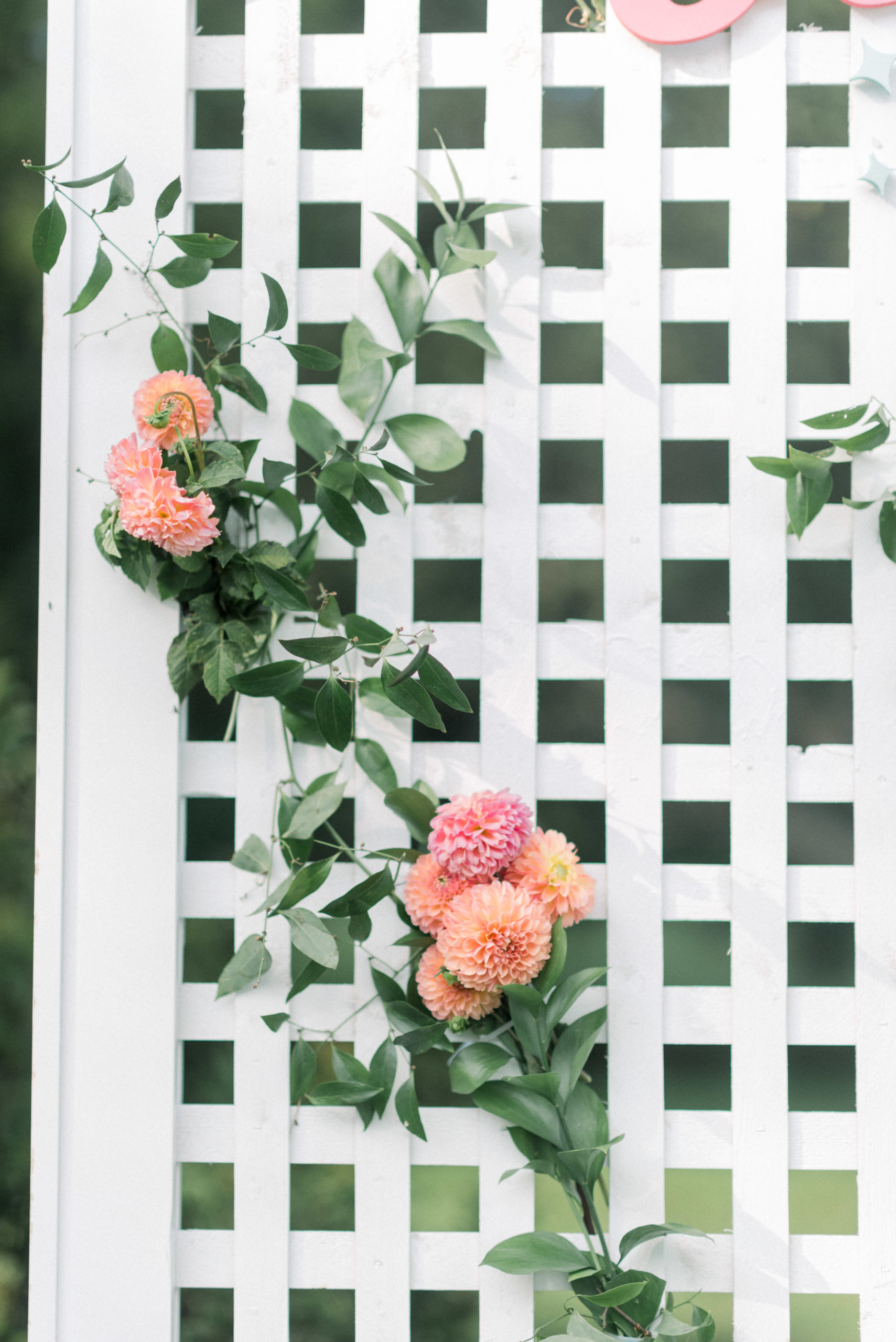 white fence with pink and peach florals