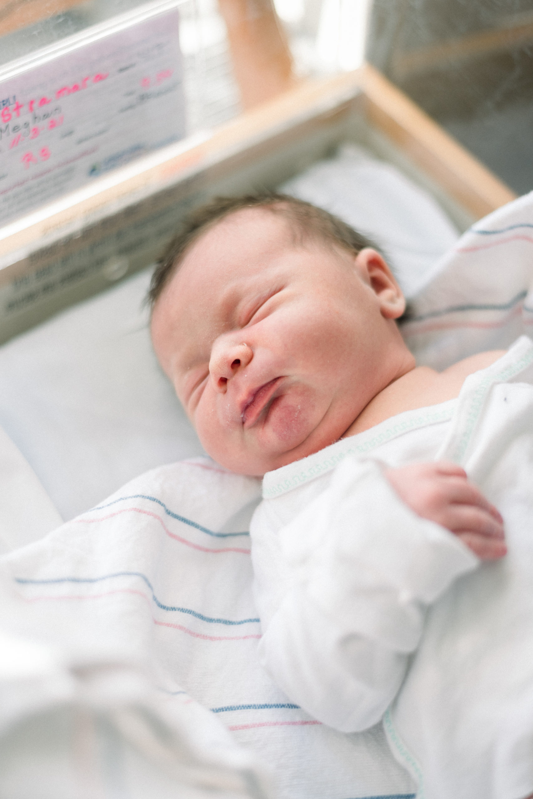 Lehigh Valley Cedar Crest Newborn Portraits