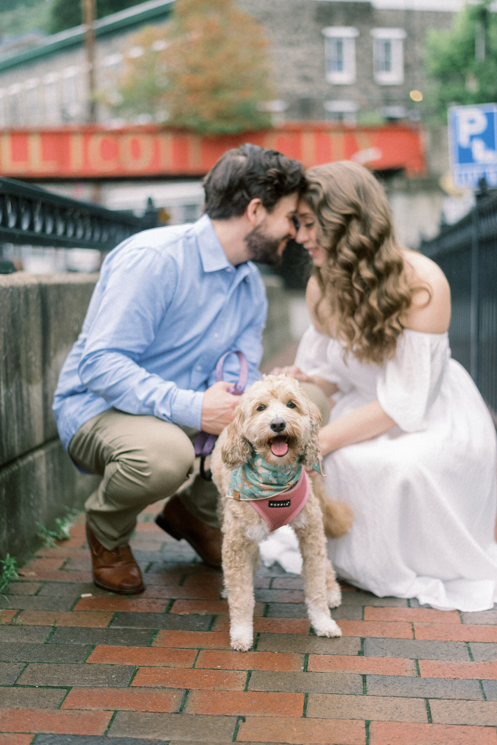 Maryland wedding photographer captures couple kissing while holding puppy on leash during engagement photos