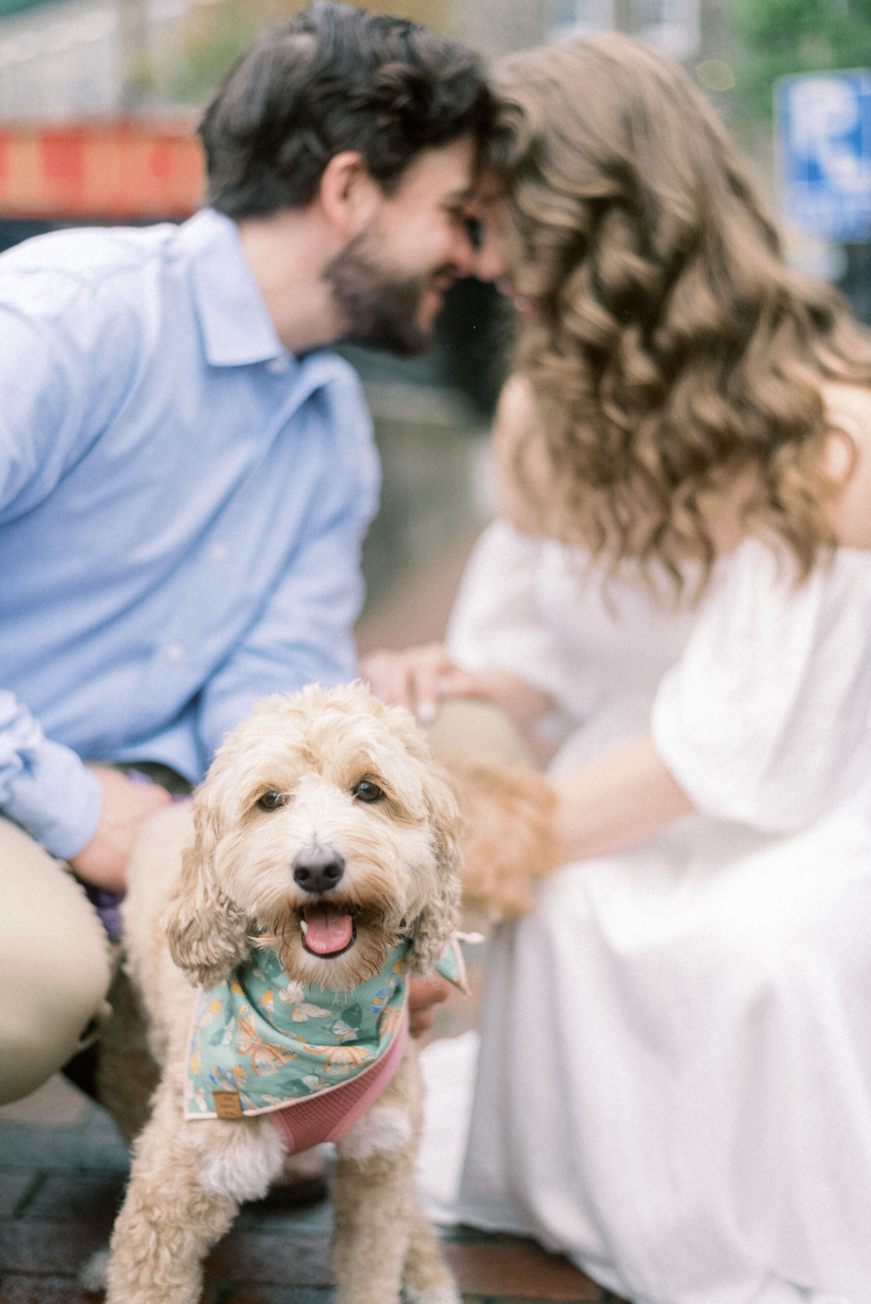Maryland wedding photographer captures couple cuddling while puppy looks at camera