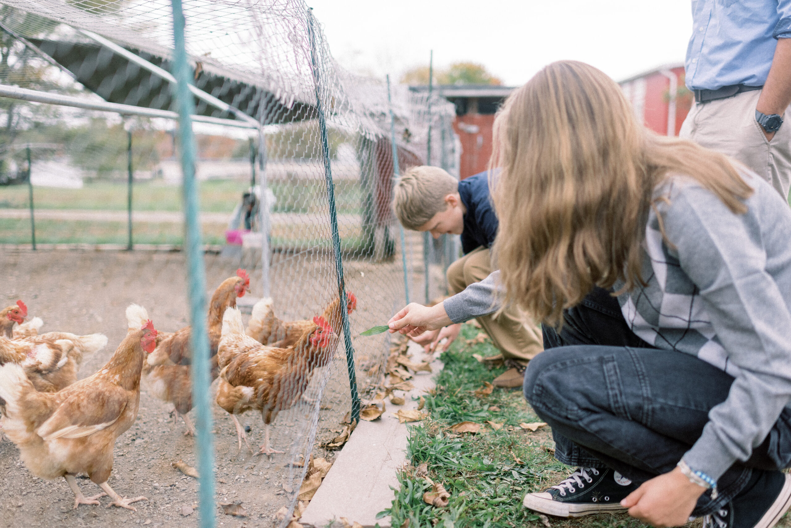 Pennsylvania photographer captures children feeding chickens