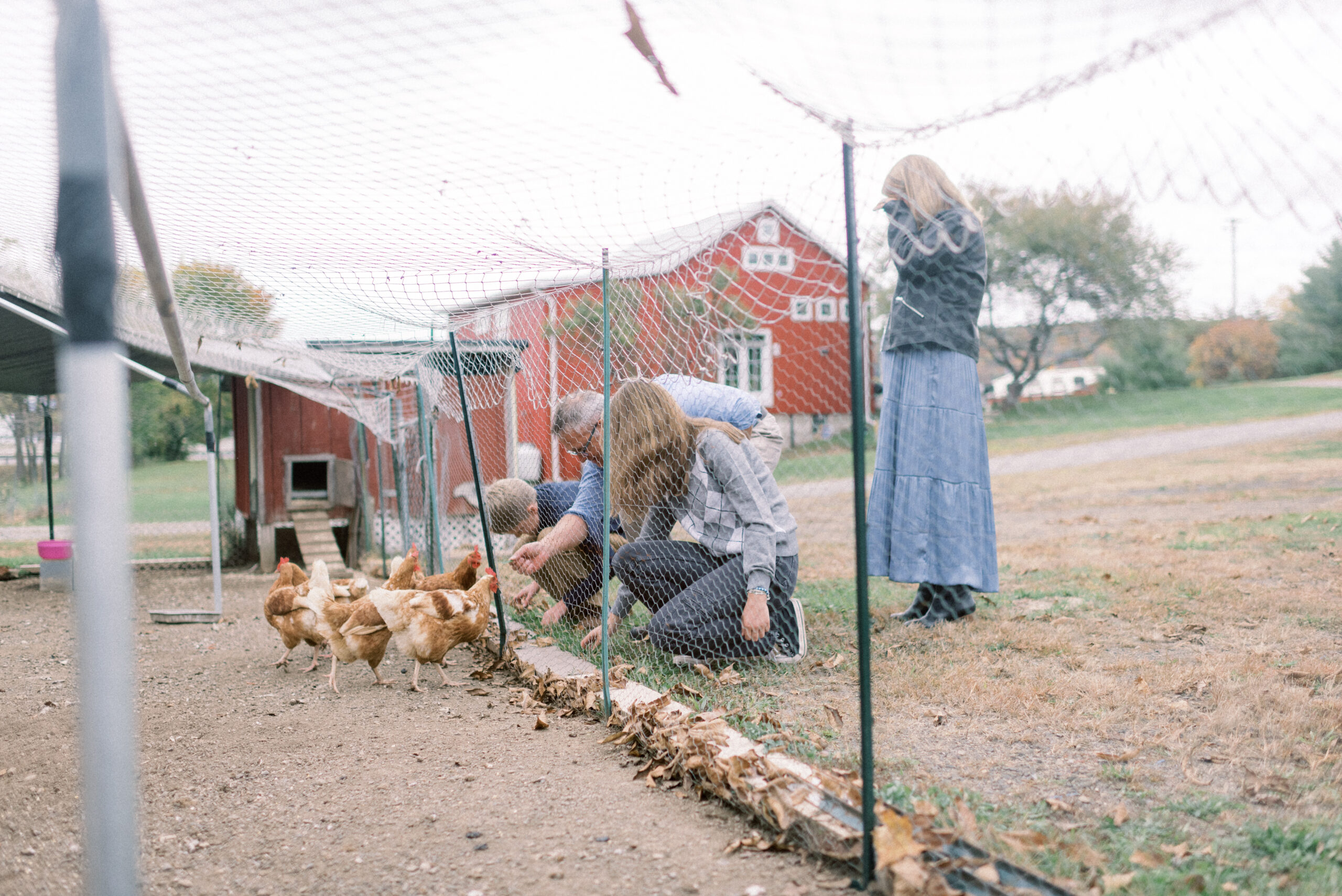 Pennsylvania photographer captures children playing with chickens