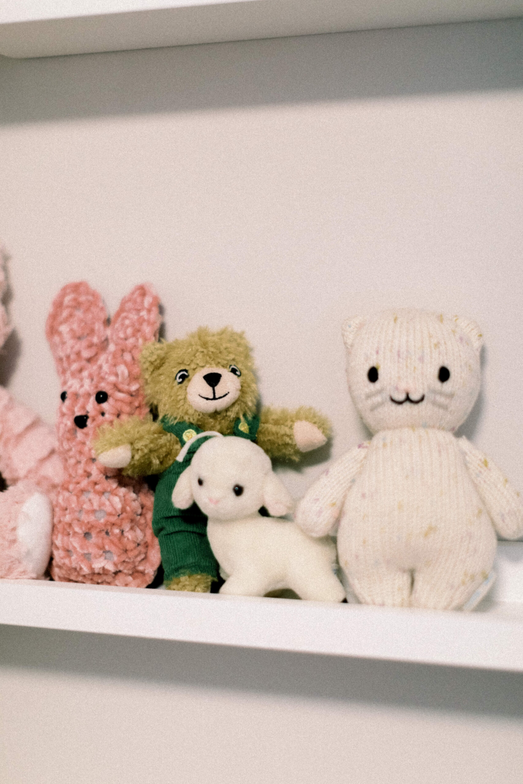 Maryland photographer captures stuffed animals on shelf in nursery