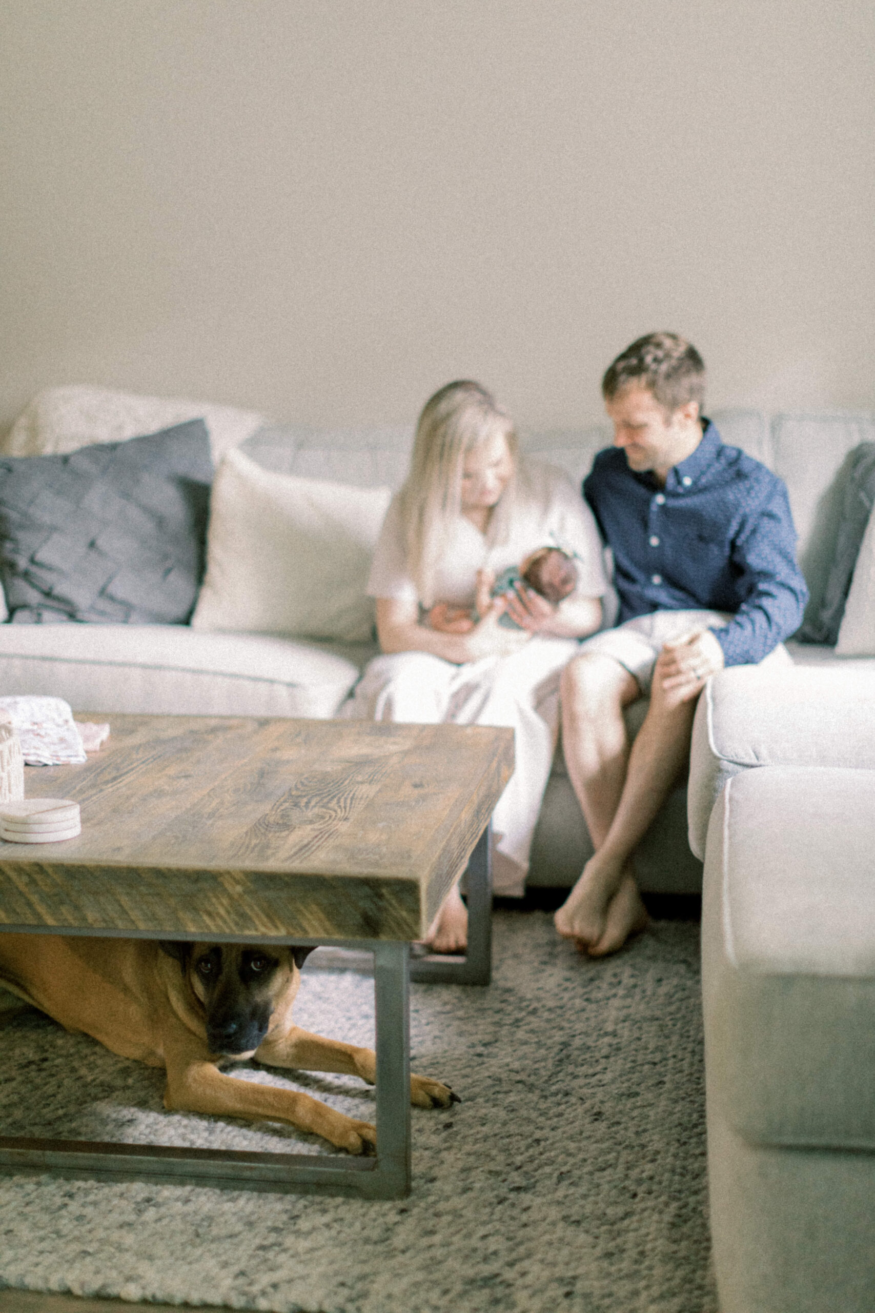 Maryland photographer captures family sitting together