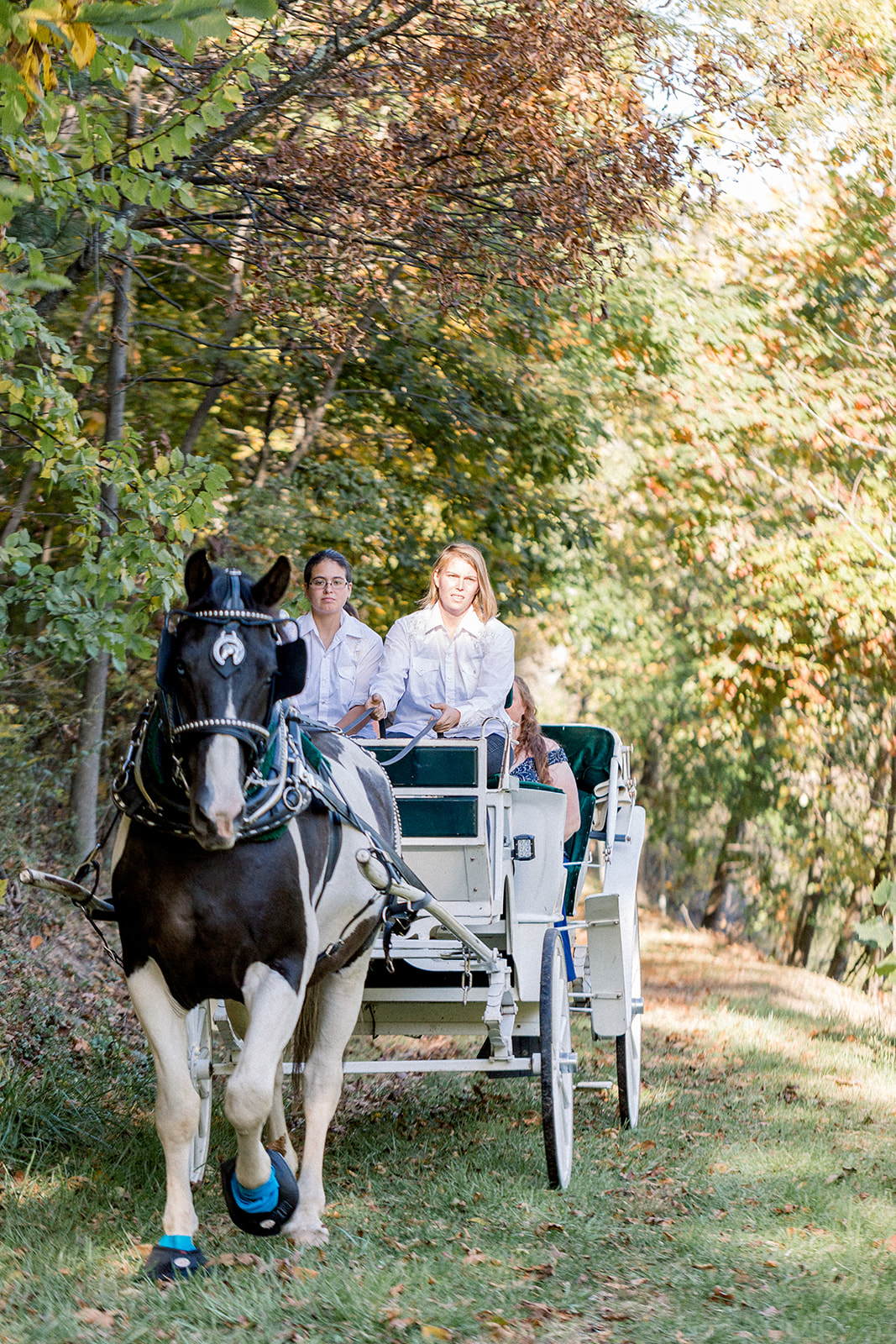 Pennsylvania wedding photographer captures horse-drawn carriage