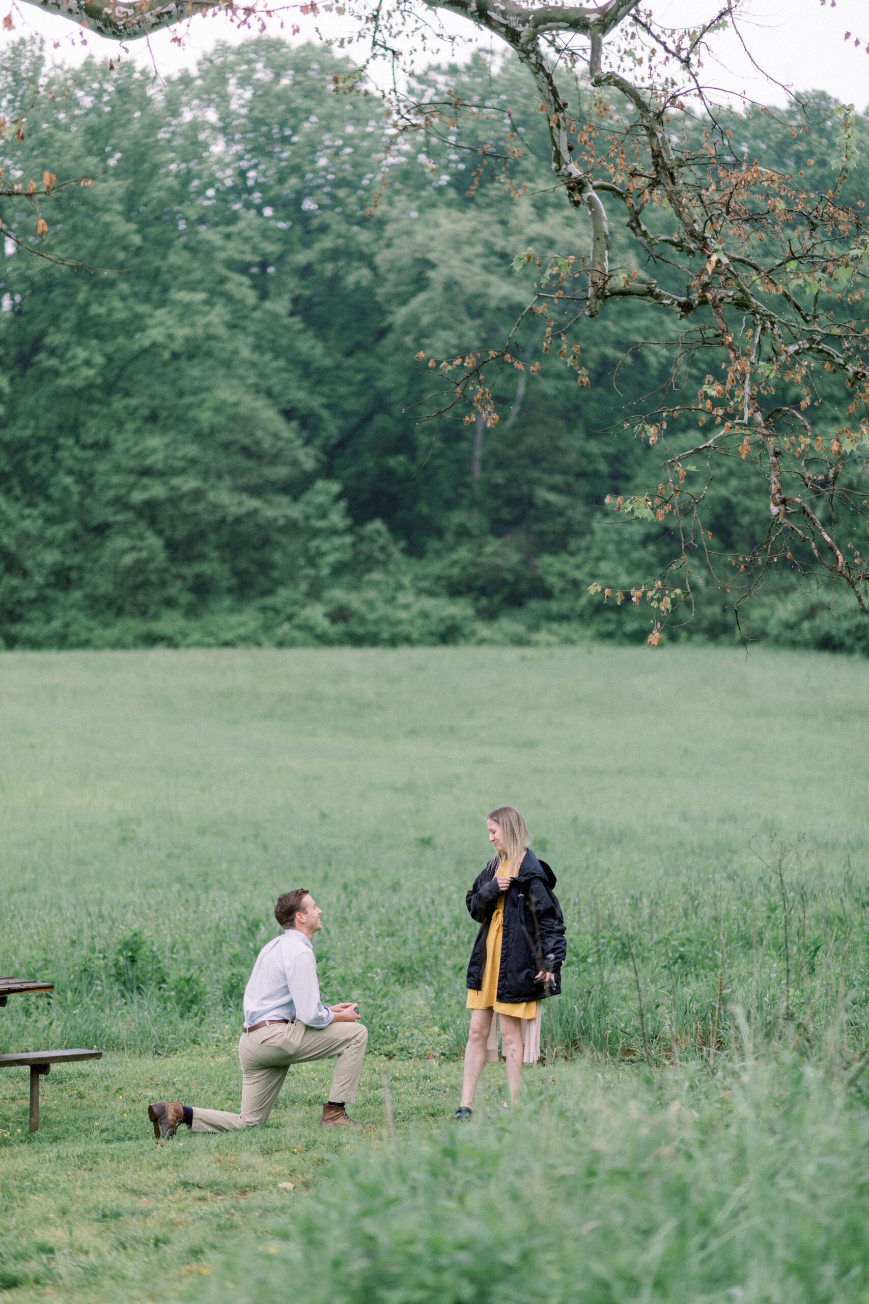 Pennsylvania wedding photographer captures woman crying during proposal