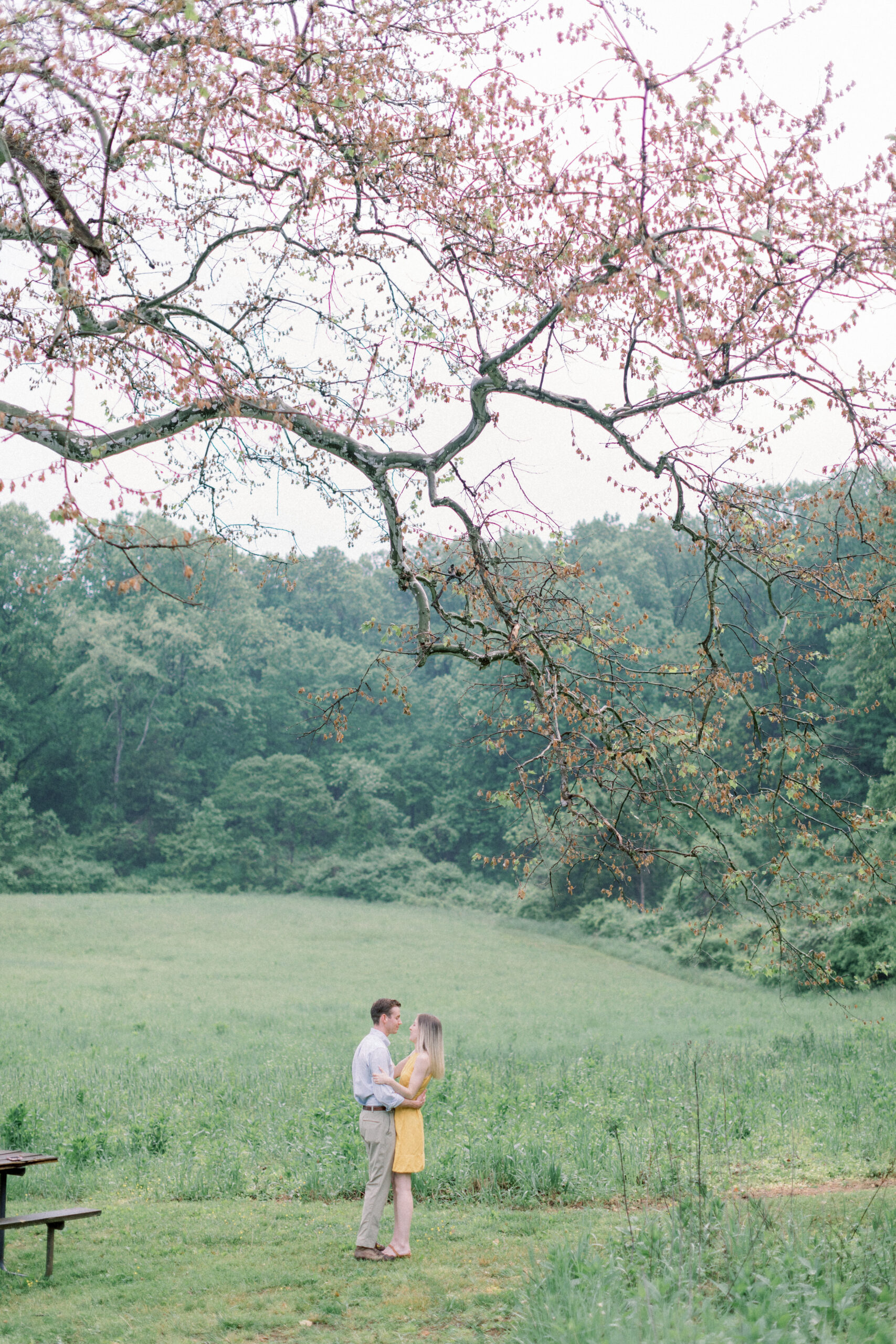 Pennsylvania wedding photographer couple hugging before proposal